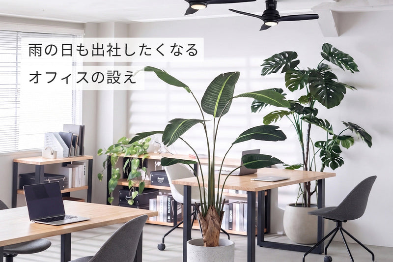 雨の日も出社したくなるオフィスの設え