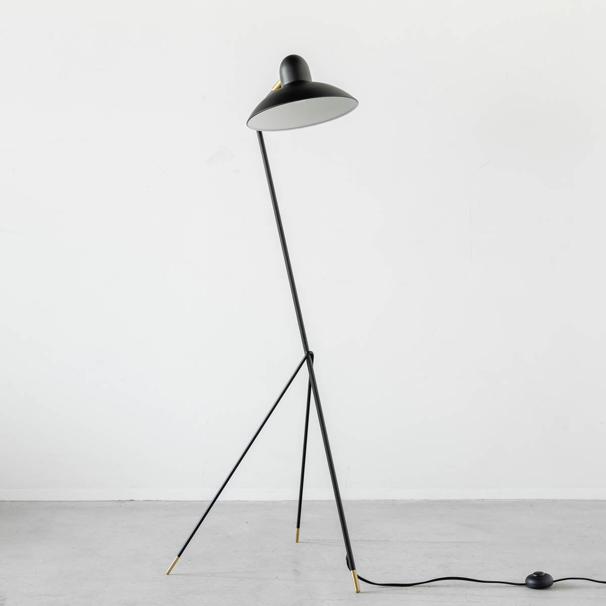 Black - brass　Modern Floor Lamp