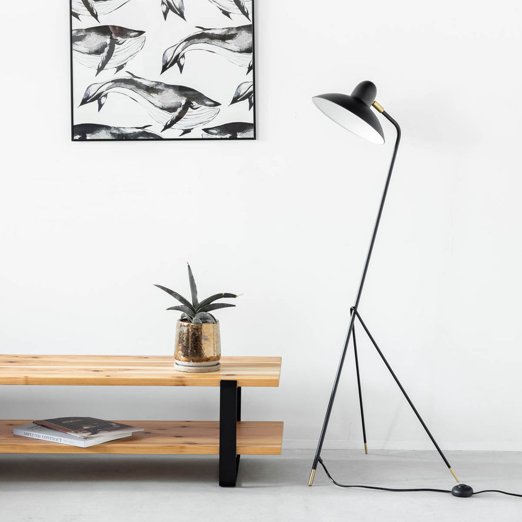 Black - brass　Modern Floor Lamp
