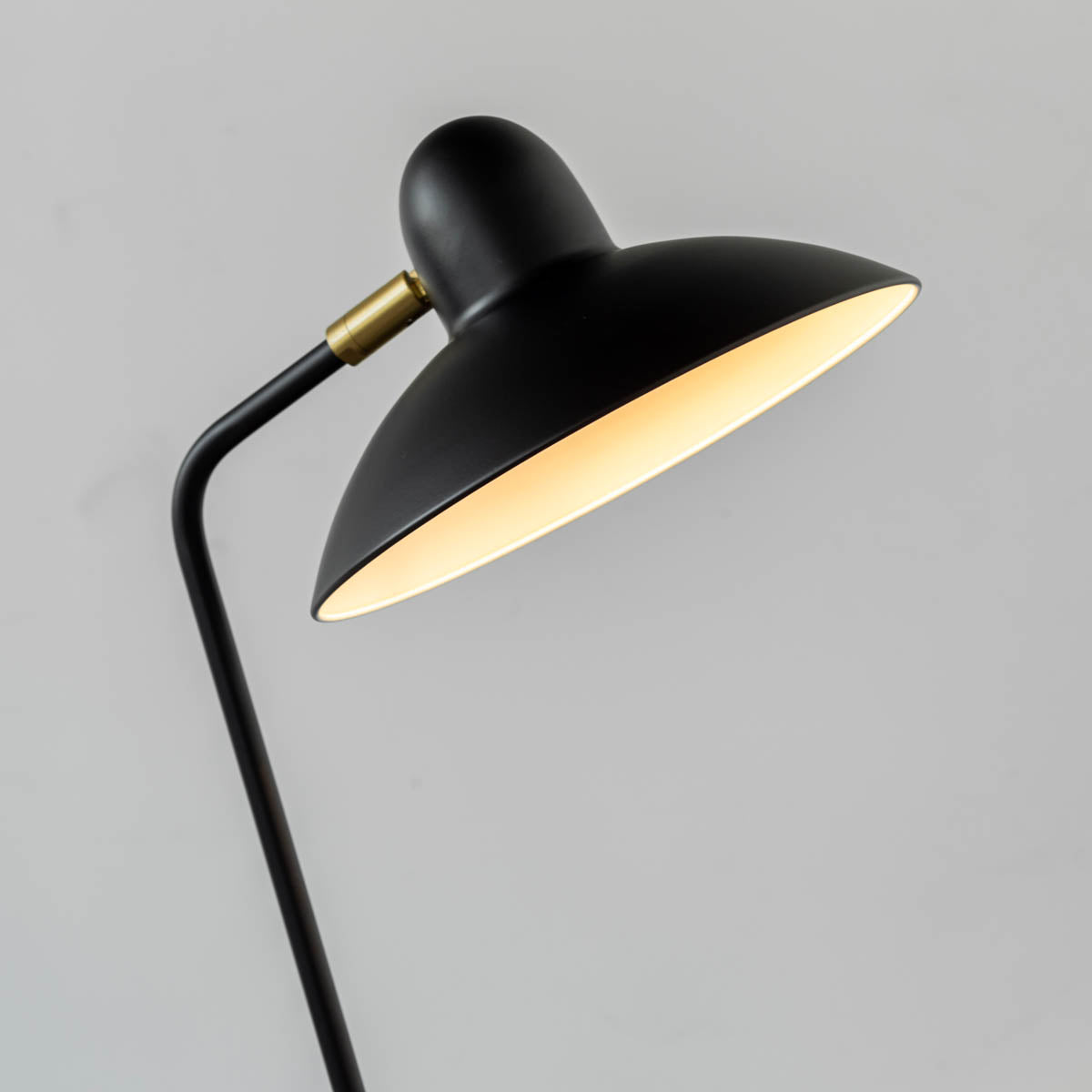 Black - brass　Modern Floor Lamp
