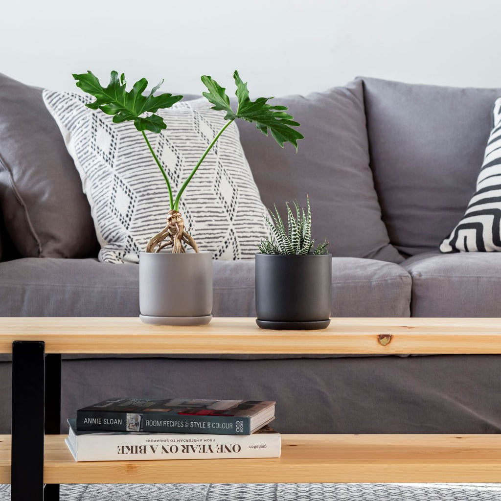 かなでもののセラミックを使用したシンプルでシックな雰囲気のブラックの鉢の使用例2