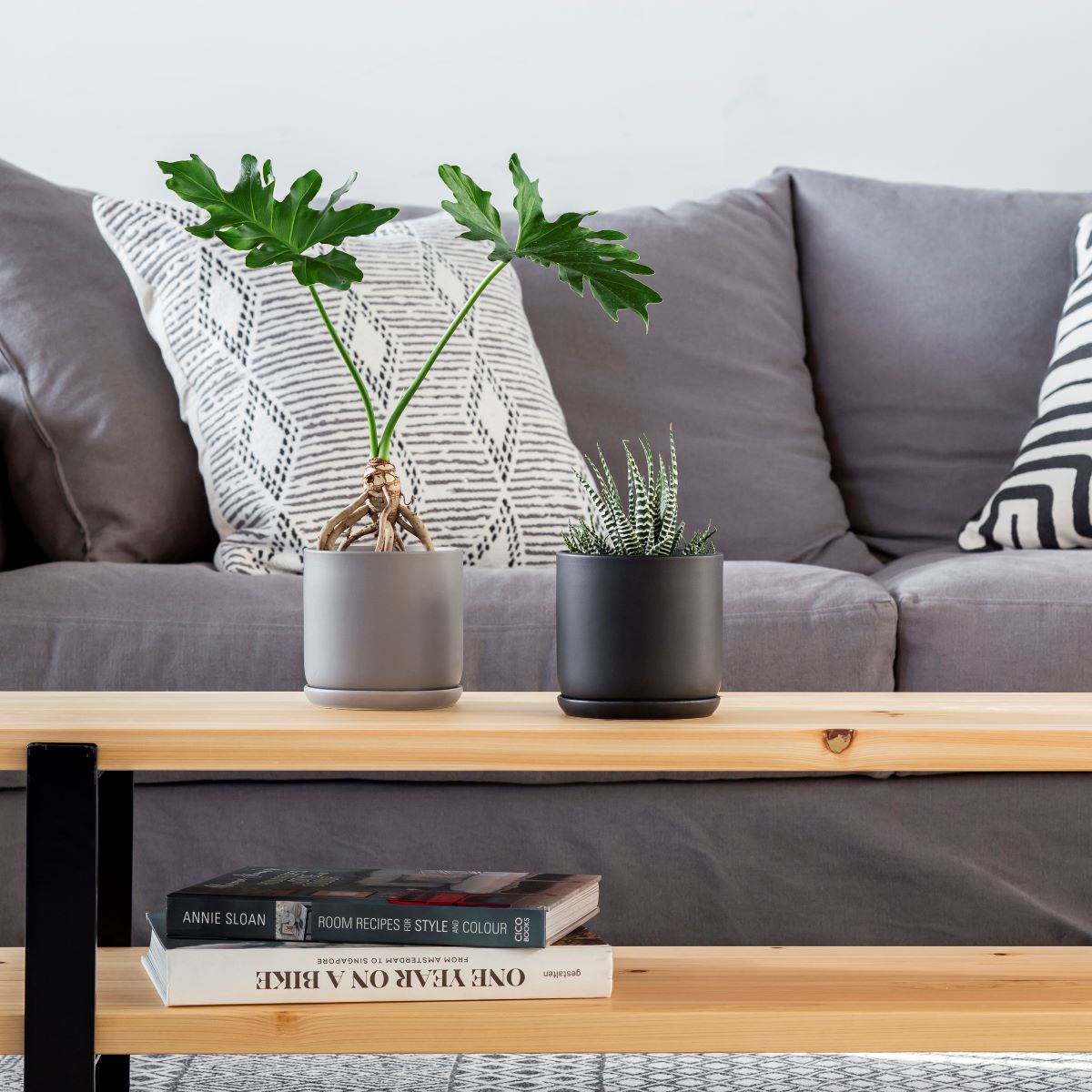 かなでもののセラミックを使用したシンプルでシックな雰囲気のブラックの鉢の使用例2