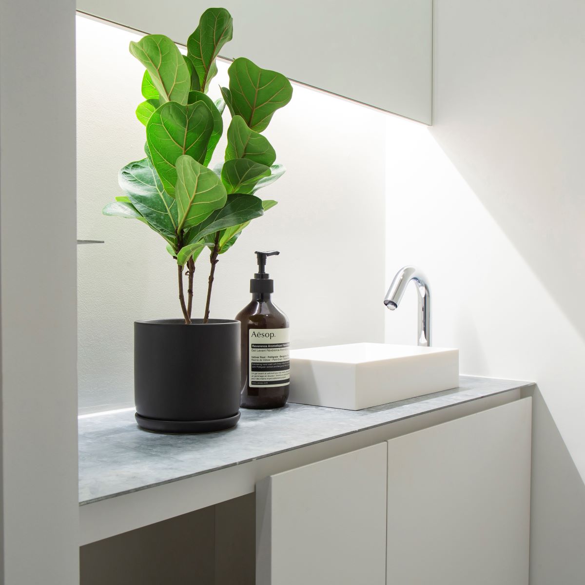 かなでもののセラミックを使用したシンプルでシックな雰囲気のブラックの鉢の使用例4