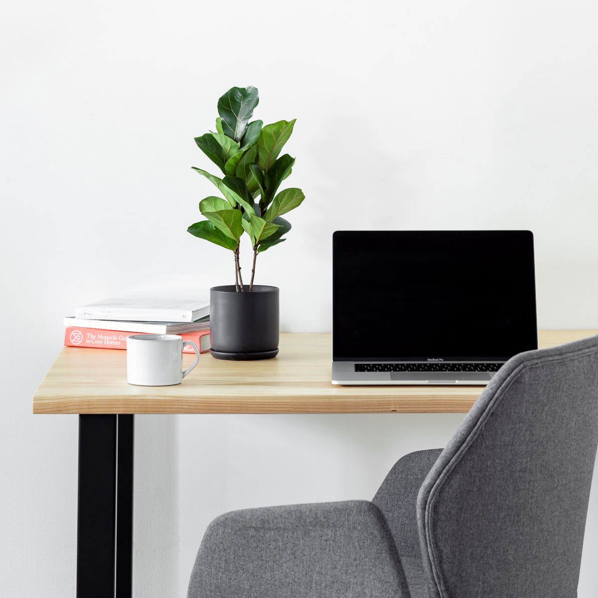 かなでもののセラミックを使用したシンプルでシックな雰囲気のブラックの鉢の使用例