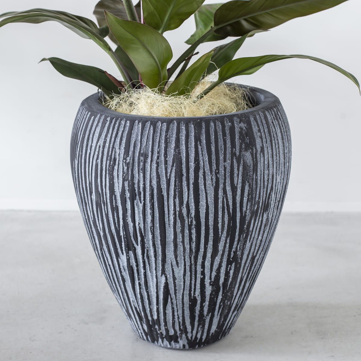 かなでもののセメントファイバーグラスを使用した縞模様のカービングが美しいシックモダンなブラックの壺型鉢の使用例1