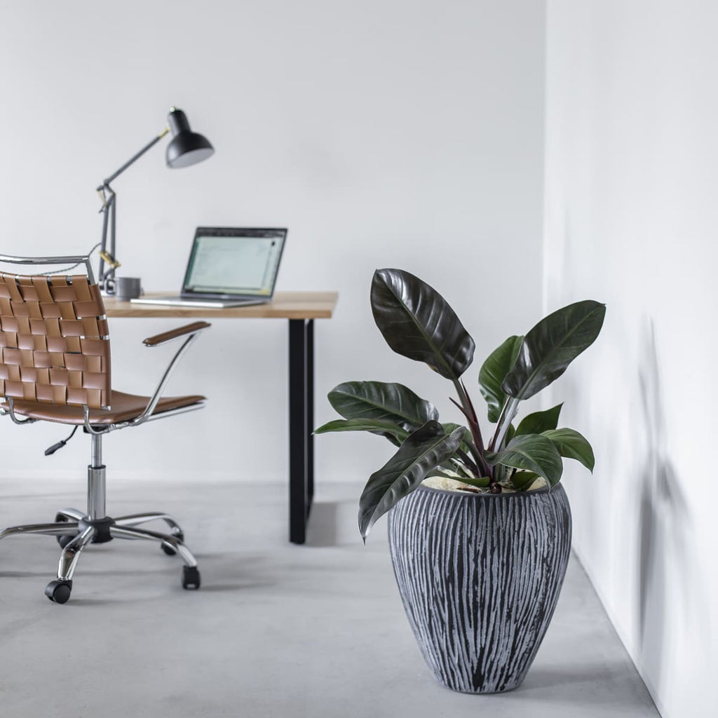 かなでもののセメントファイバーグラスを使用した縞模様のカービングが美しいシックモダンなブラックの壺型鉢の使用例3