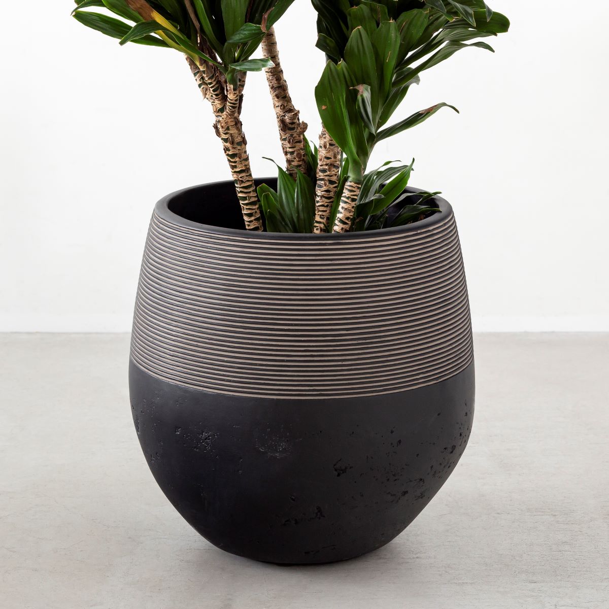 かなでもののファイバーセメントを使用したナチュラルモダンなブラックの大きめ鉢の使用例1