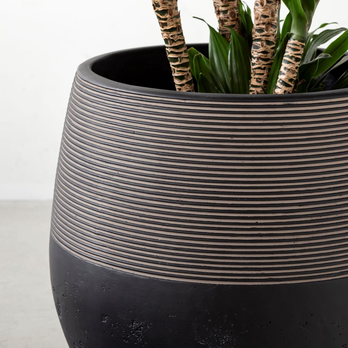 かなでもののファイバーセメントを使用したナチュラルモダンなブラックの大きめ鉢の使用例2