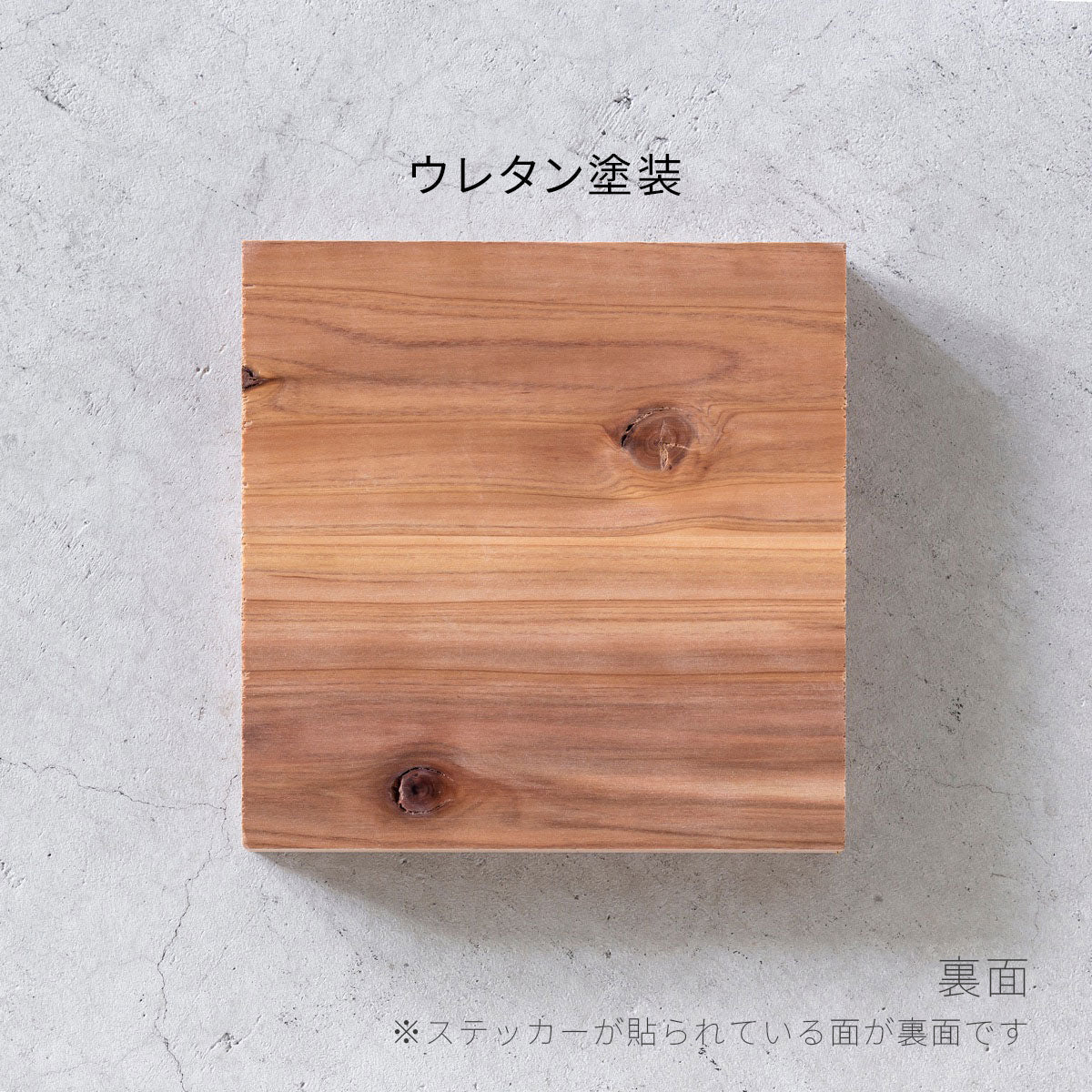 SAMPLE / 無垢 杉