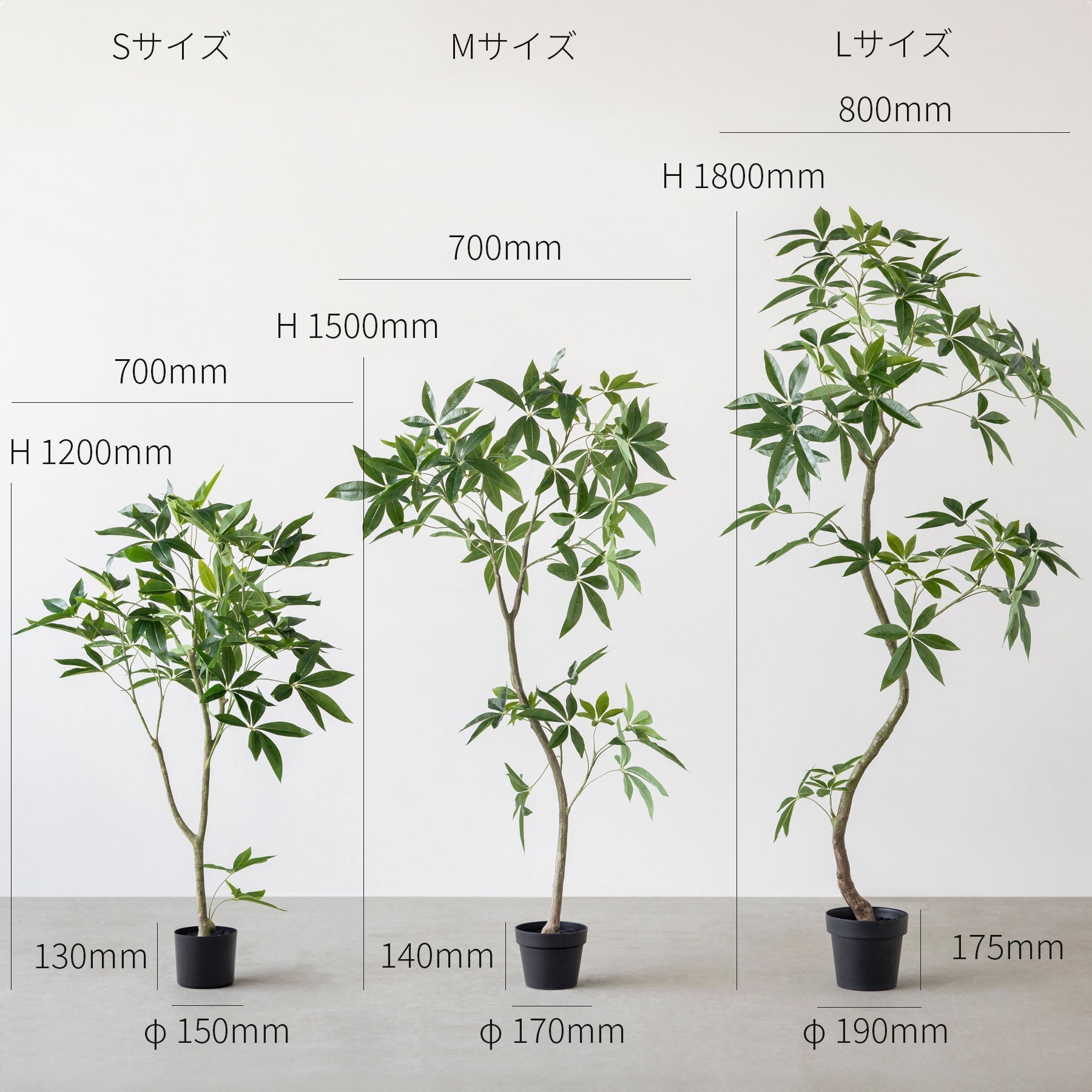 フェイクグリーンの大鉢パキラ（サイズ画像）