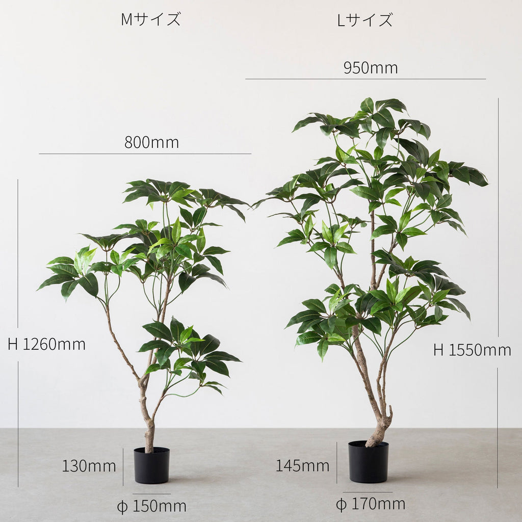 フェイクグリーンの大鉢ツピタンサス（サイズ画像）