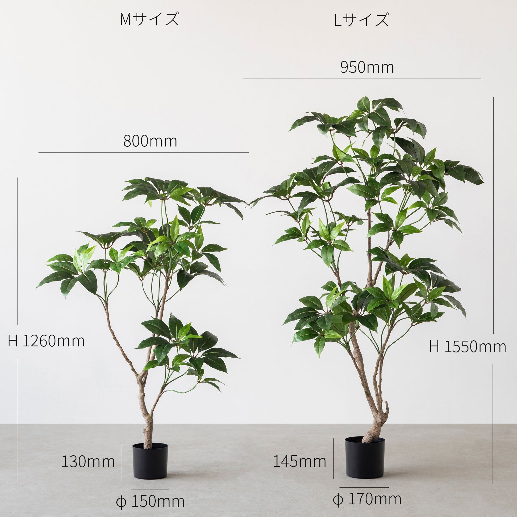 フェイクグリーンの大鉢ツピタンサス（サイズ画像）