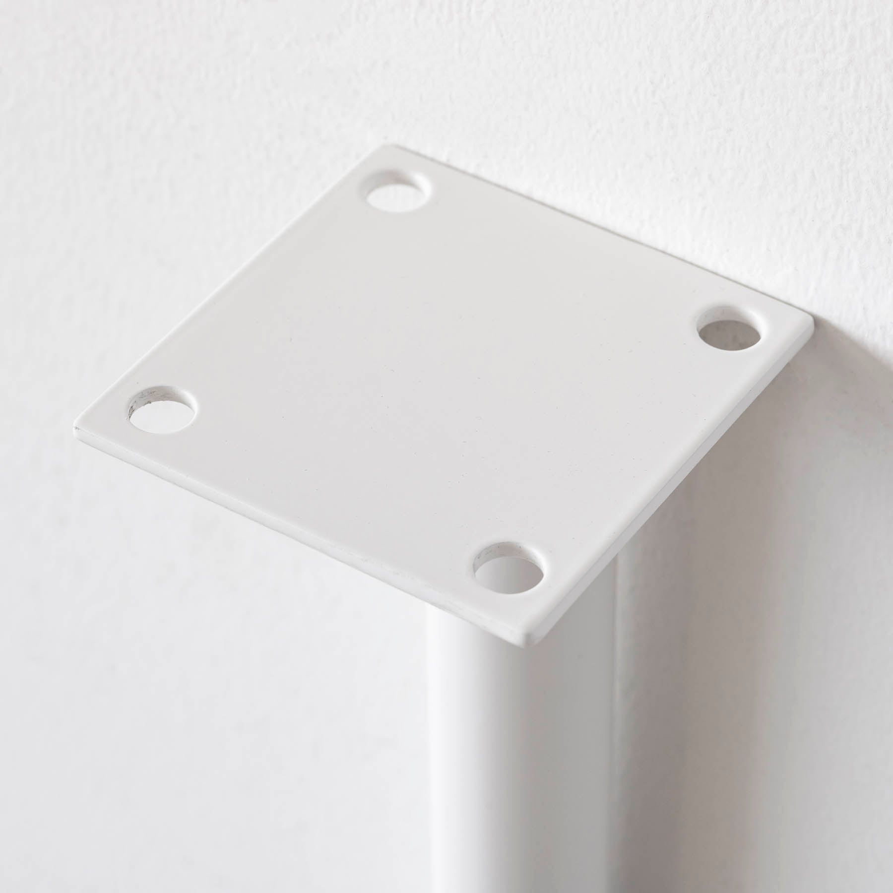 THE LEGS / Curvepipe × White Steel