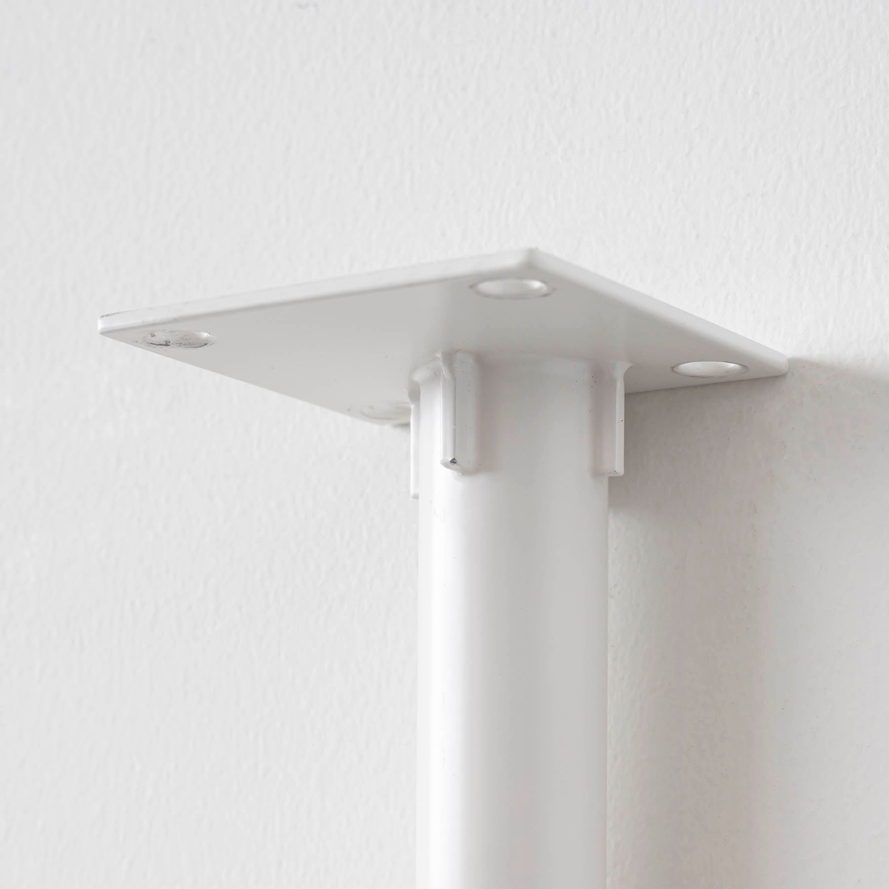 THE LEGS / Curvepipe × White Steel