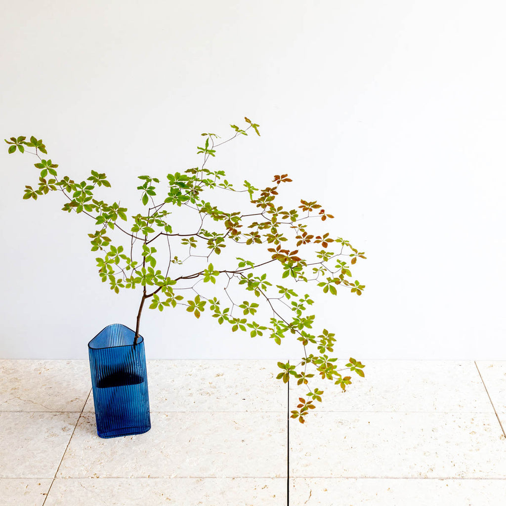 かなでもののブルーのガラスを使用した口が広く使いやすい三角形のフラワーベースの使用例2