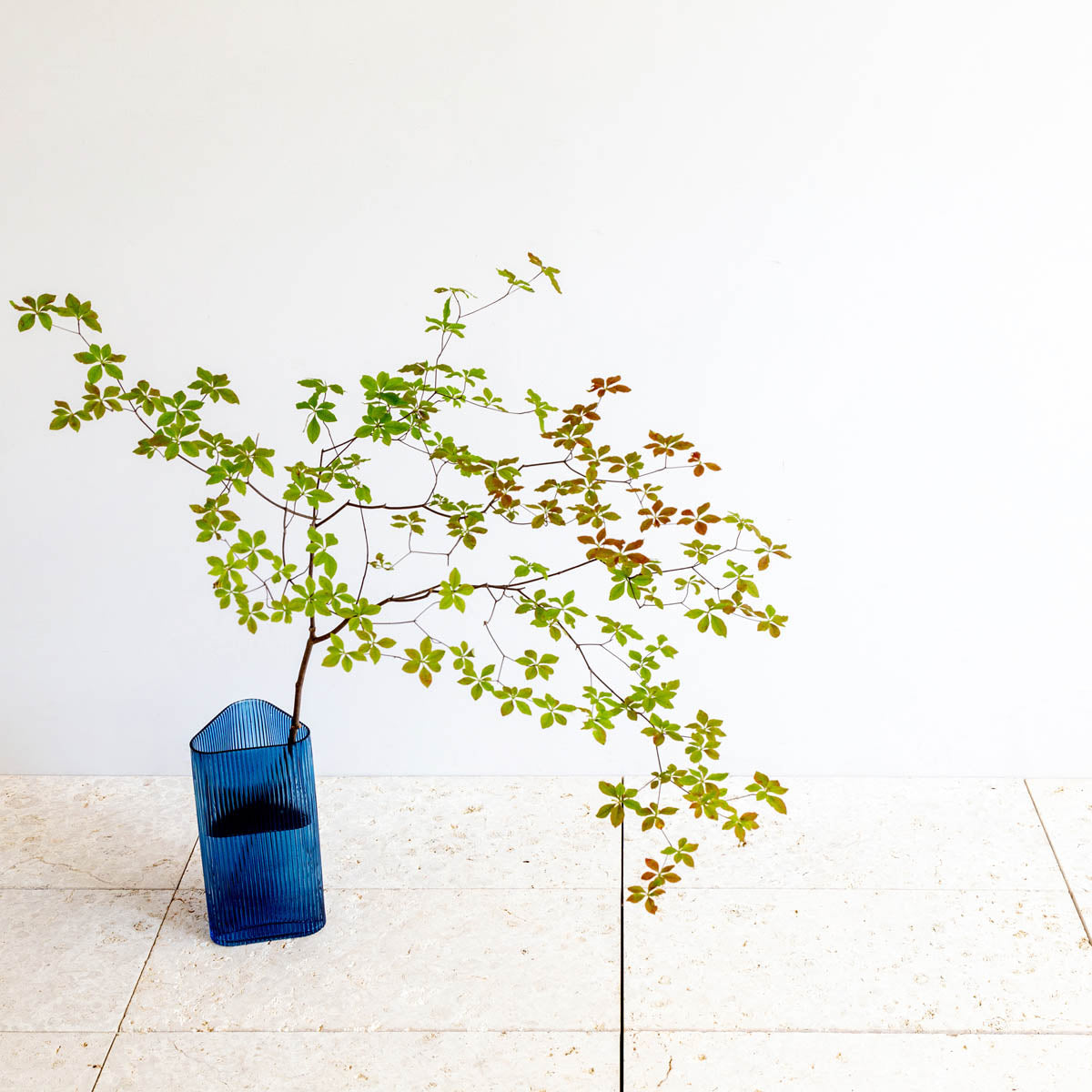 かなでもののブルーのガラスを使用した口が広く使いやすい三角形のフラワーベースの使用例2