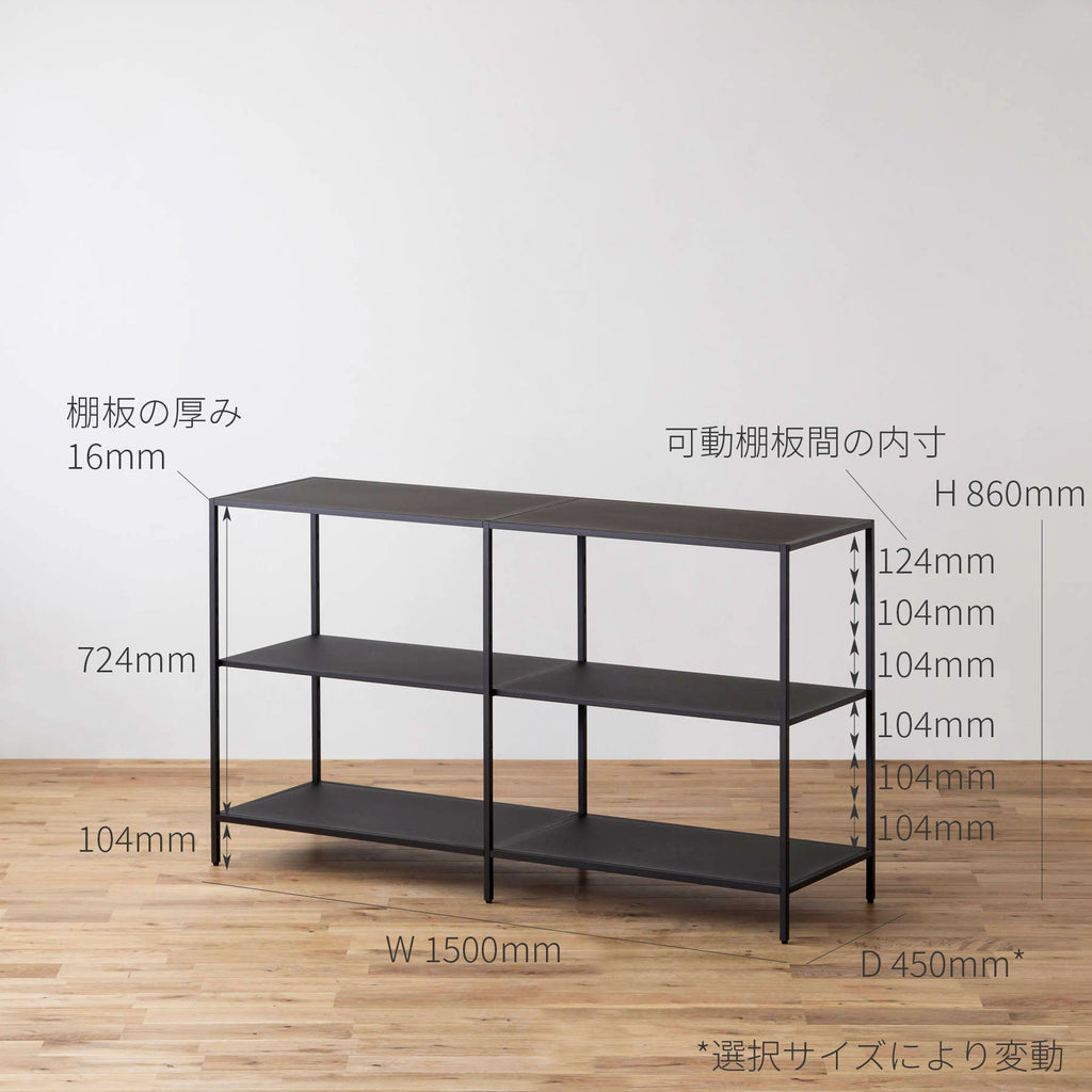 THE FRAME SHELF /本体 2連 STANDARD