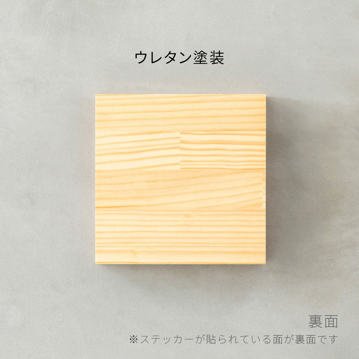 SAMPLE / パイン
