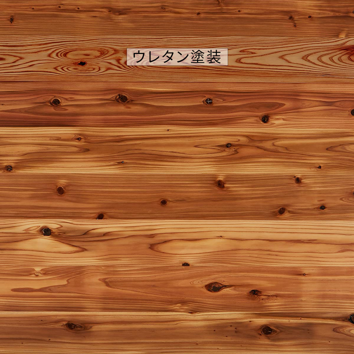 SAMPLE / 無垢 杉