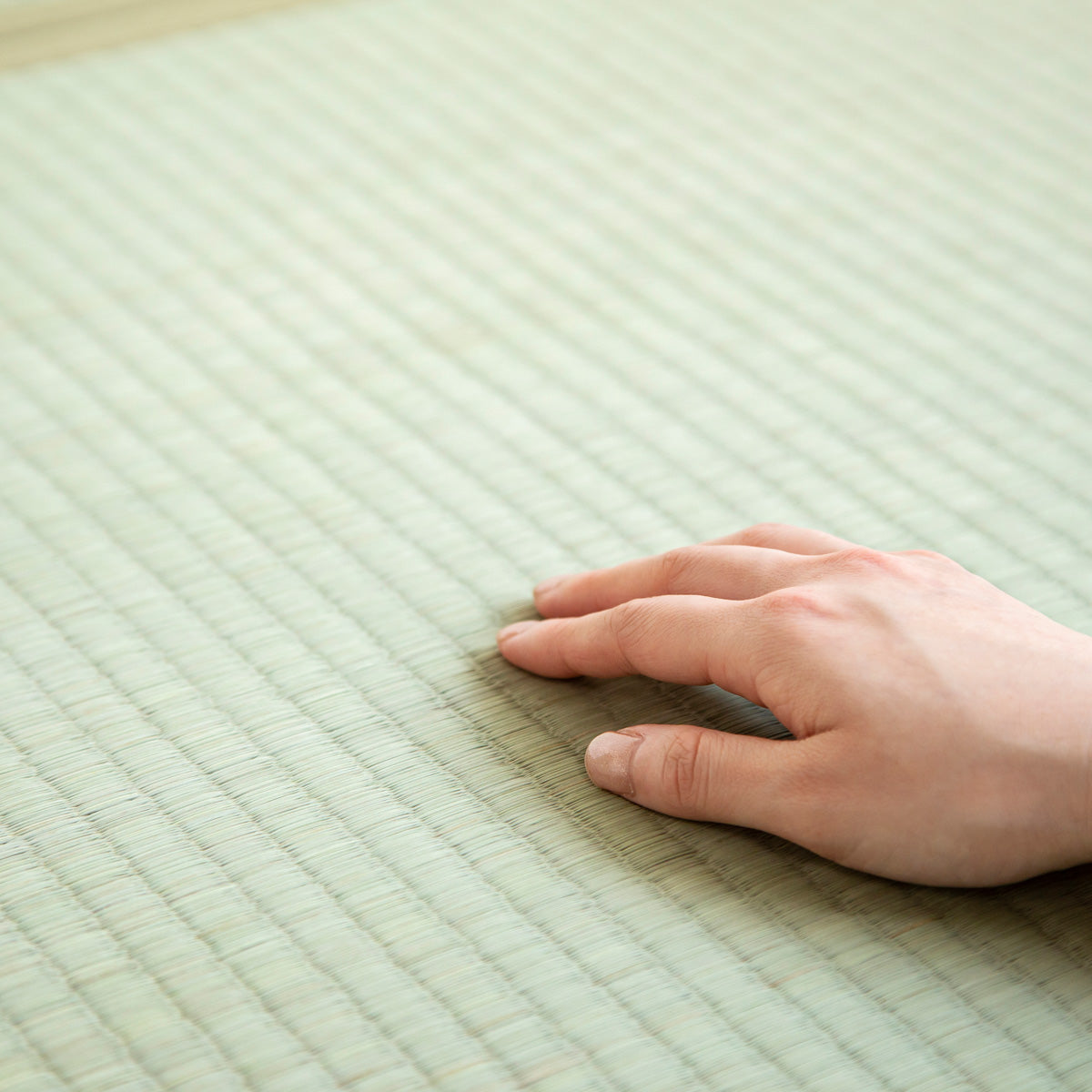 国産のい草をつかった爽やかな印象の70 × 70cmの置き畳（手触りカット）