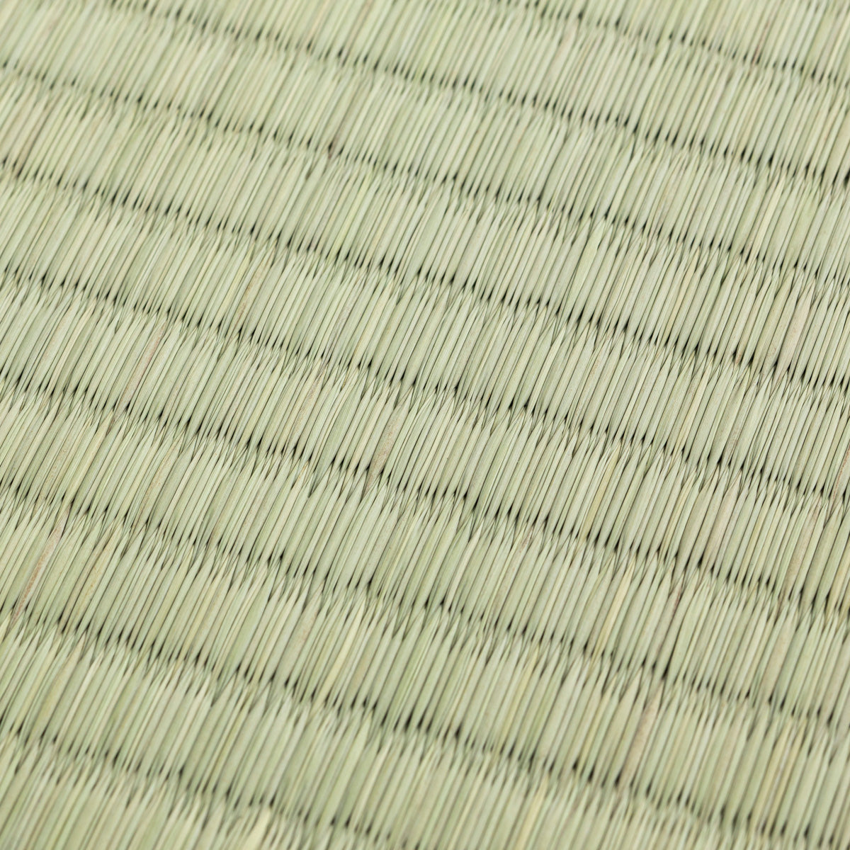 国産のい草をつかった爽やかな印象の164 × 82cmの置き畳（クローズアップ）