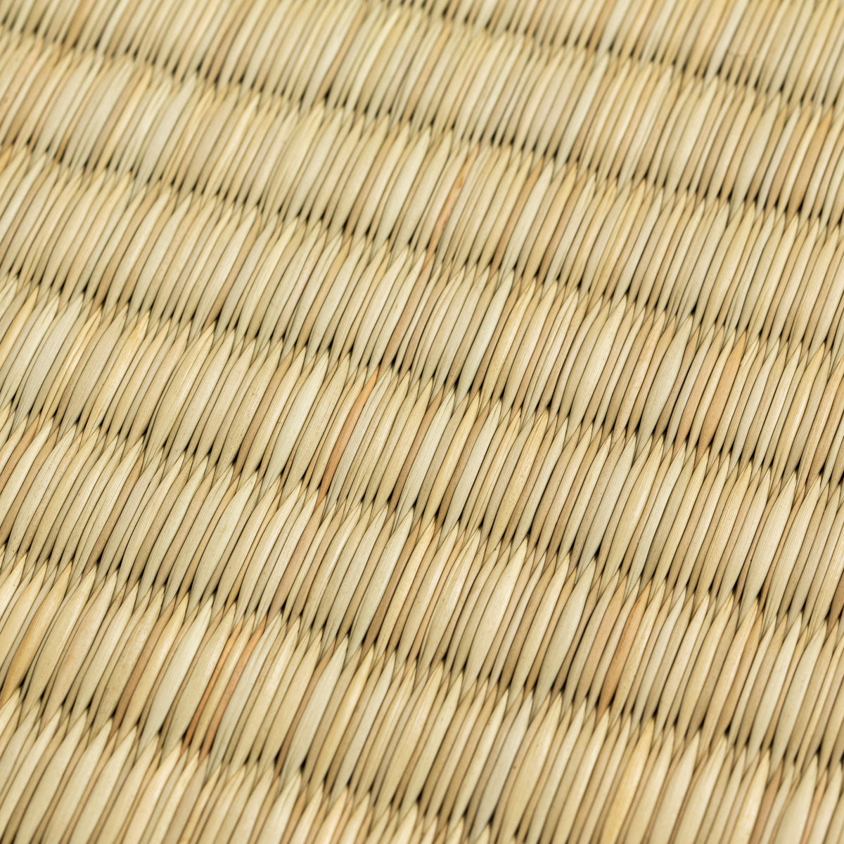 重厚感のある風合いが落ち着きをもたらす沖縄ビーグを使用したゴザ（クローズアップ）