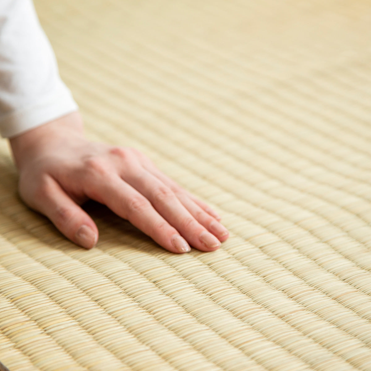 重厚感のある風合いが落ち着きをもたらす沖縄ビーグを使用したゴザ（手触りカット2）