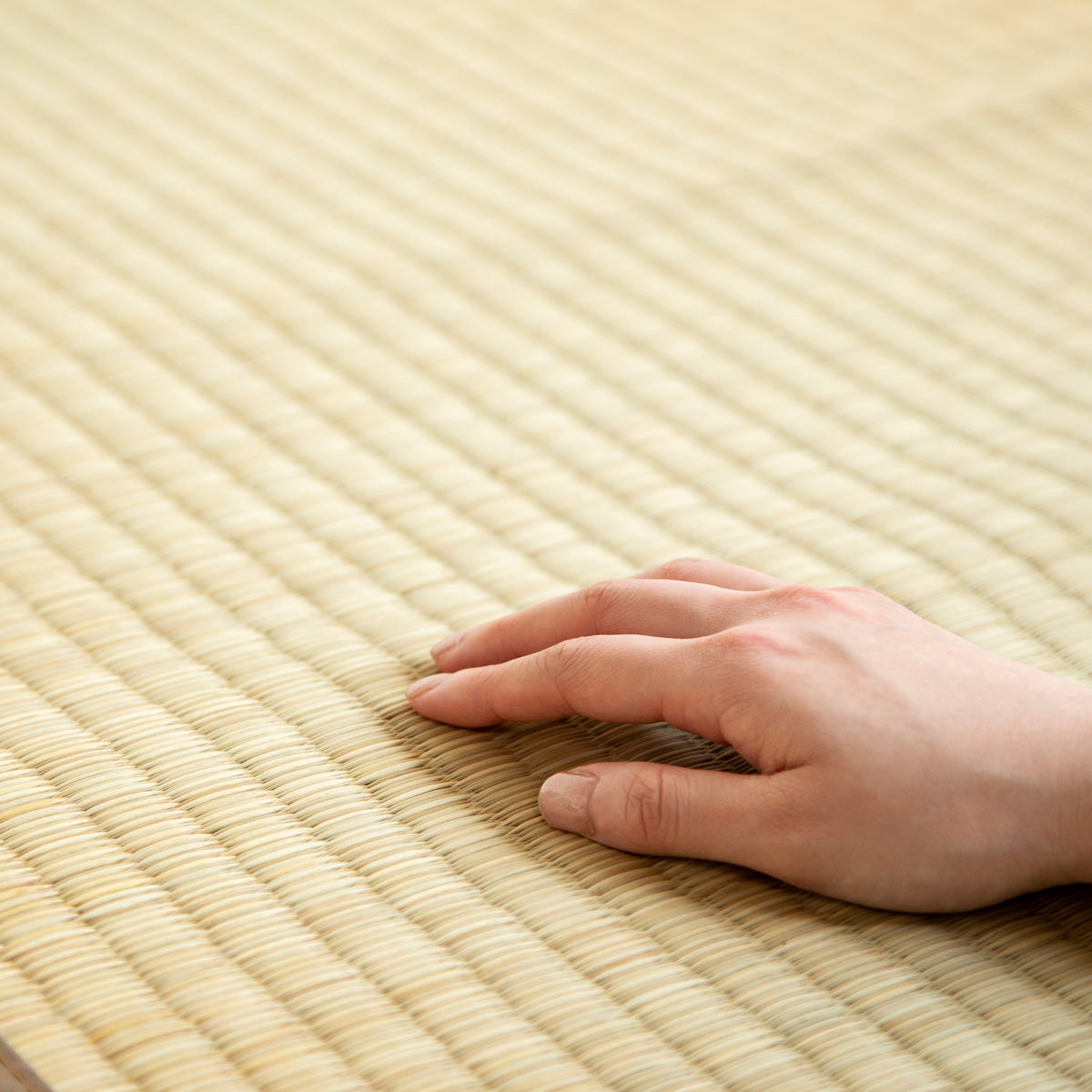 重厚感のある風合いが落ち着きをもたらす沖縄ビーグを使用したゴザ（手触りカット）