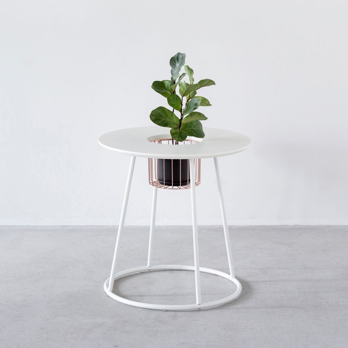 「素材」×「デザイン」　シンプルな鉢 シリーズ - Black　4号