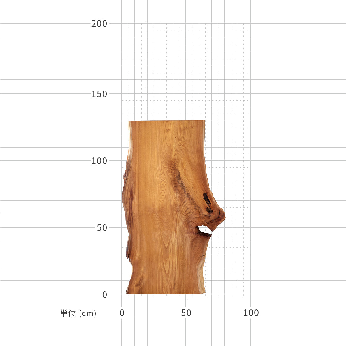 一枚板 / ケヤキ #0019　1300 × 570 ~ 760 mm