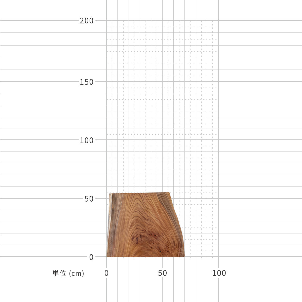 一枚板 / ケヤキ #0031　550 × 420 ~ 670 mm