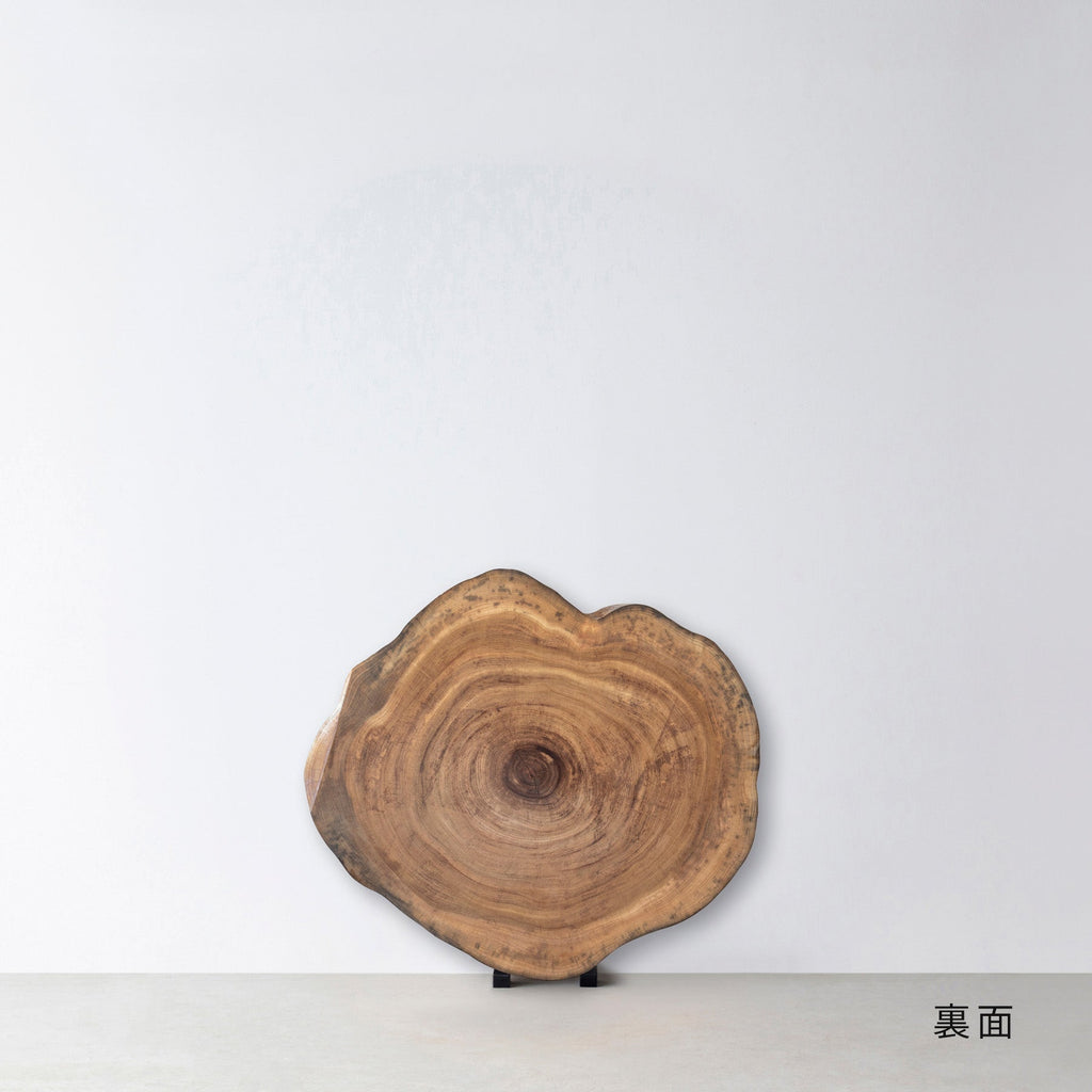 一枚板 / クス #0034　1050 × 910 mm