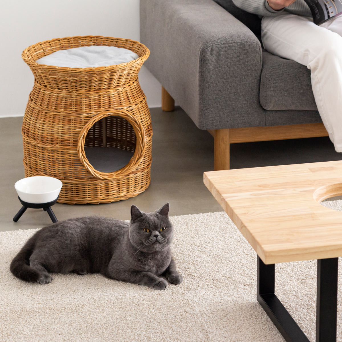 猫が食べやすいデザインと上質な素材感にこだわったセラミック製フードボウル＆スタンド／ブラック（猫入り使用イメージ）