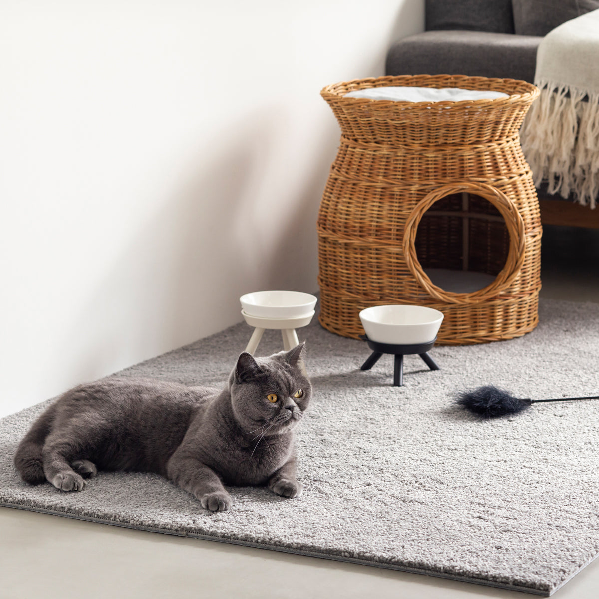 猫が食べやすいデザインと上質な素材感にこだわったセラミック製フードボウル＆スタンド／ベージュ・ブラック（猫入り使用イメージ２）