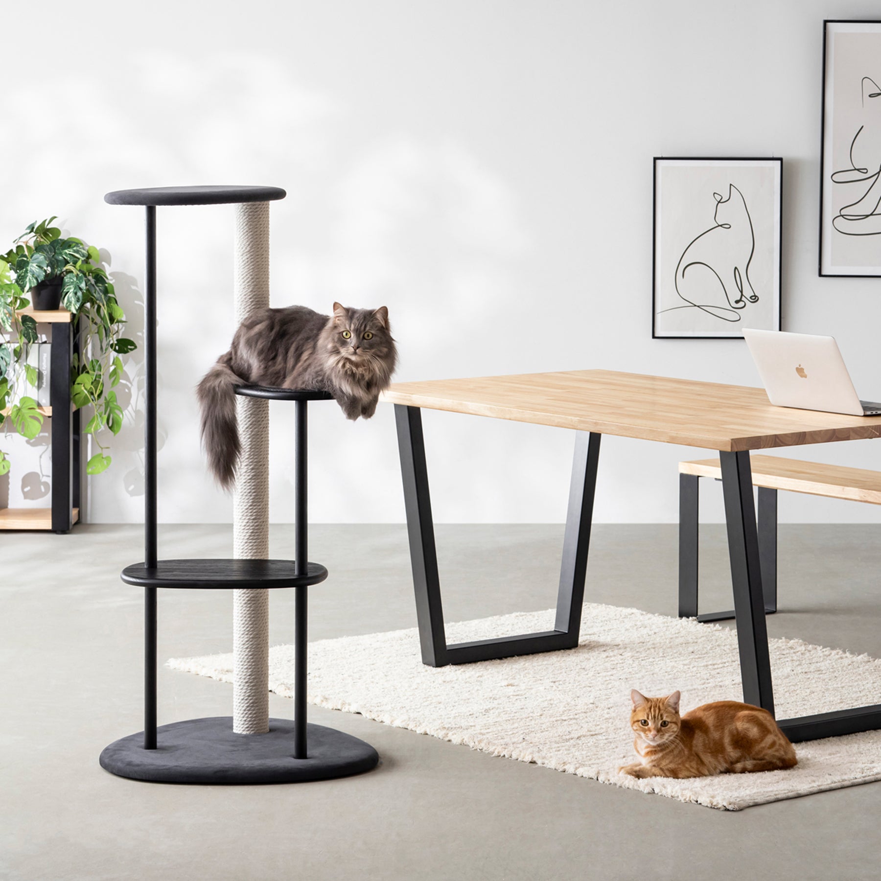 KARIMOKU CAT TREE　KANADEMONO オリジナルカラー