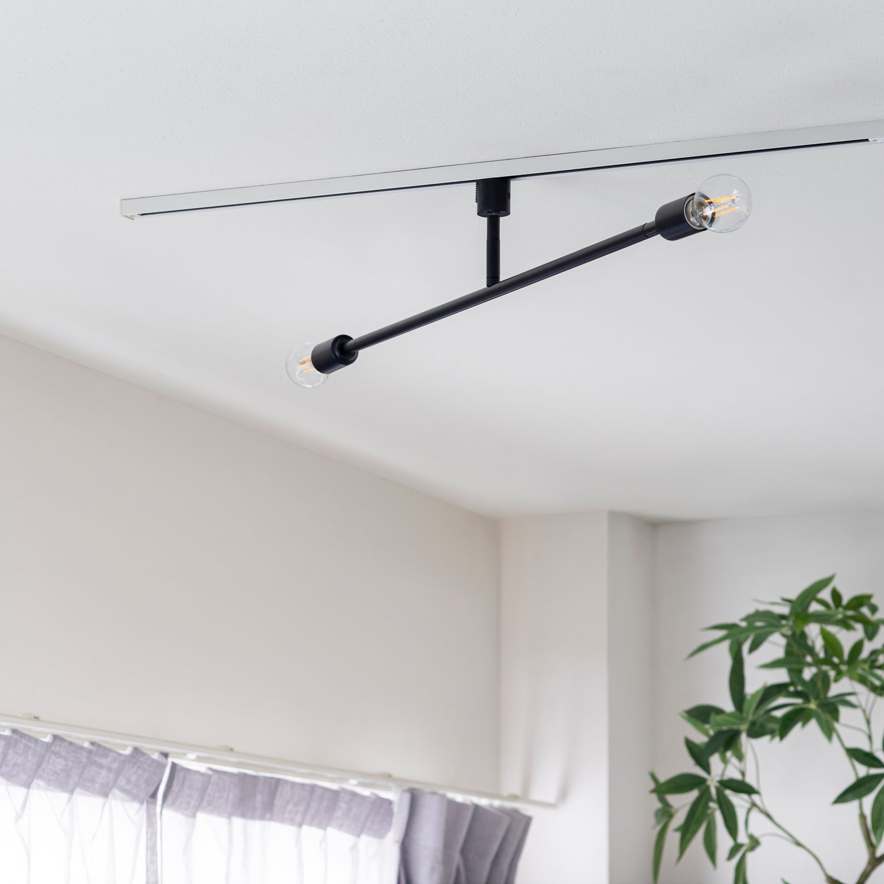 電球を選べる2灯シーリングライト