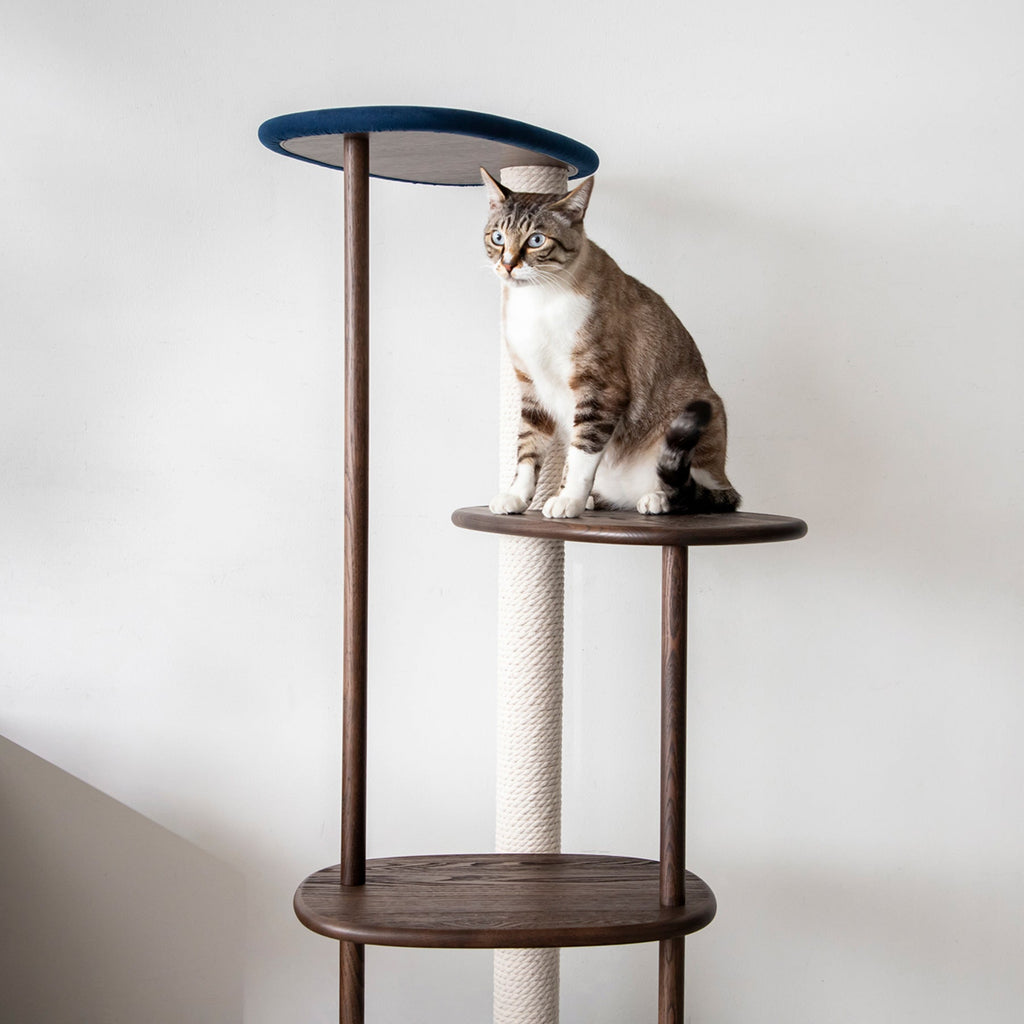 KARIMOKU CAT のミニマルモダンなブルー×モカブラウンカラーのキャットツリー（イメージ1）