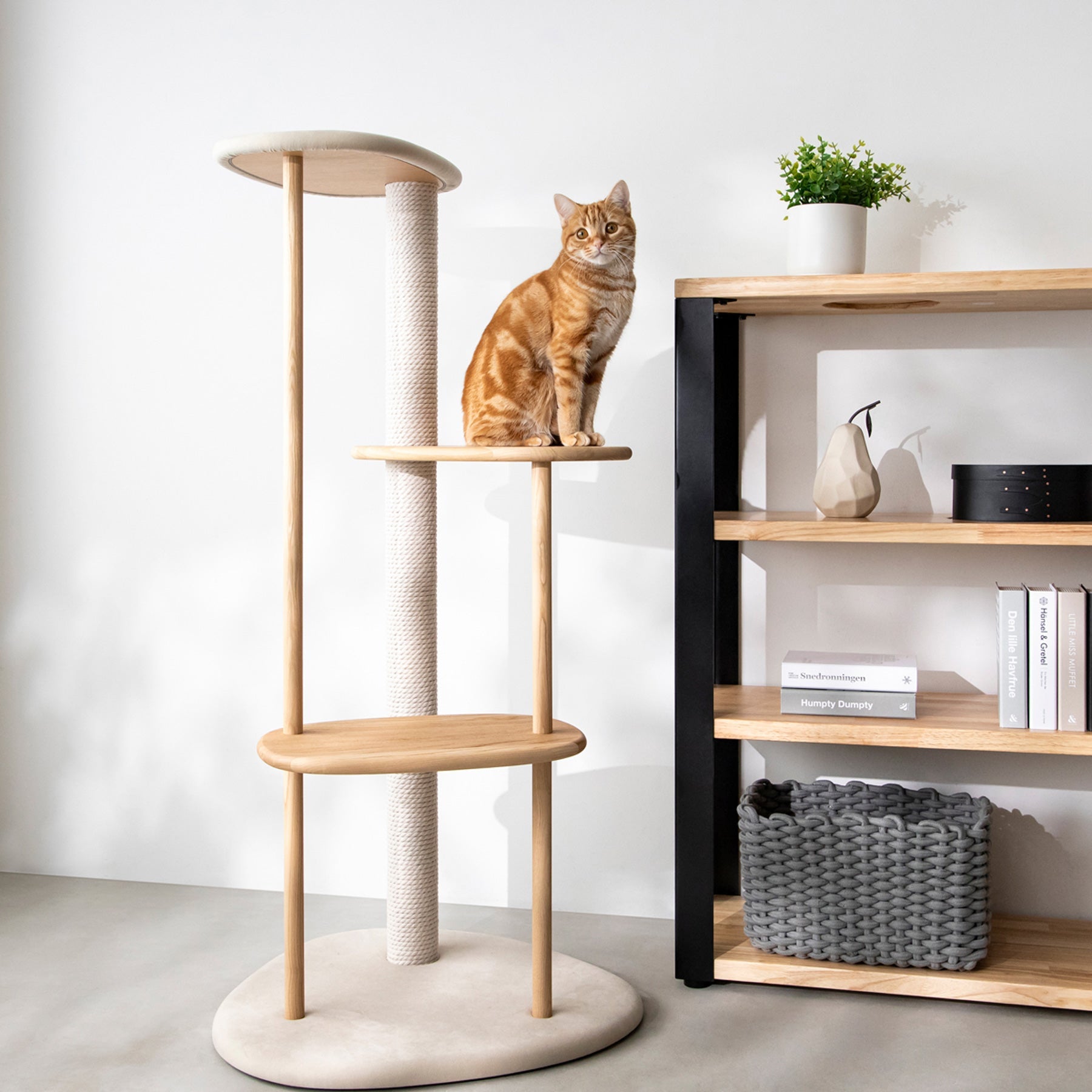 KARIMOKU CAT のミニマルモダンなライトグレー×ナチュラルカラーのキャットツリー（イメージ1）