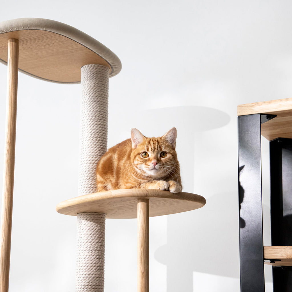 KARIMOKU CAT のミニマルモダンなライトグレー×ナチュラルカラーのキャットツリー（イメージ5）
