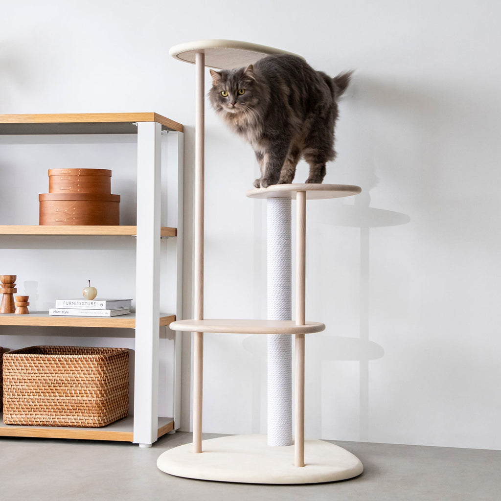 KARIMOKU CAT のミニマルモダンなホワイト×シアーホワイトカラーのキャットツリー（イメージ1）