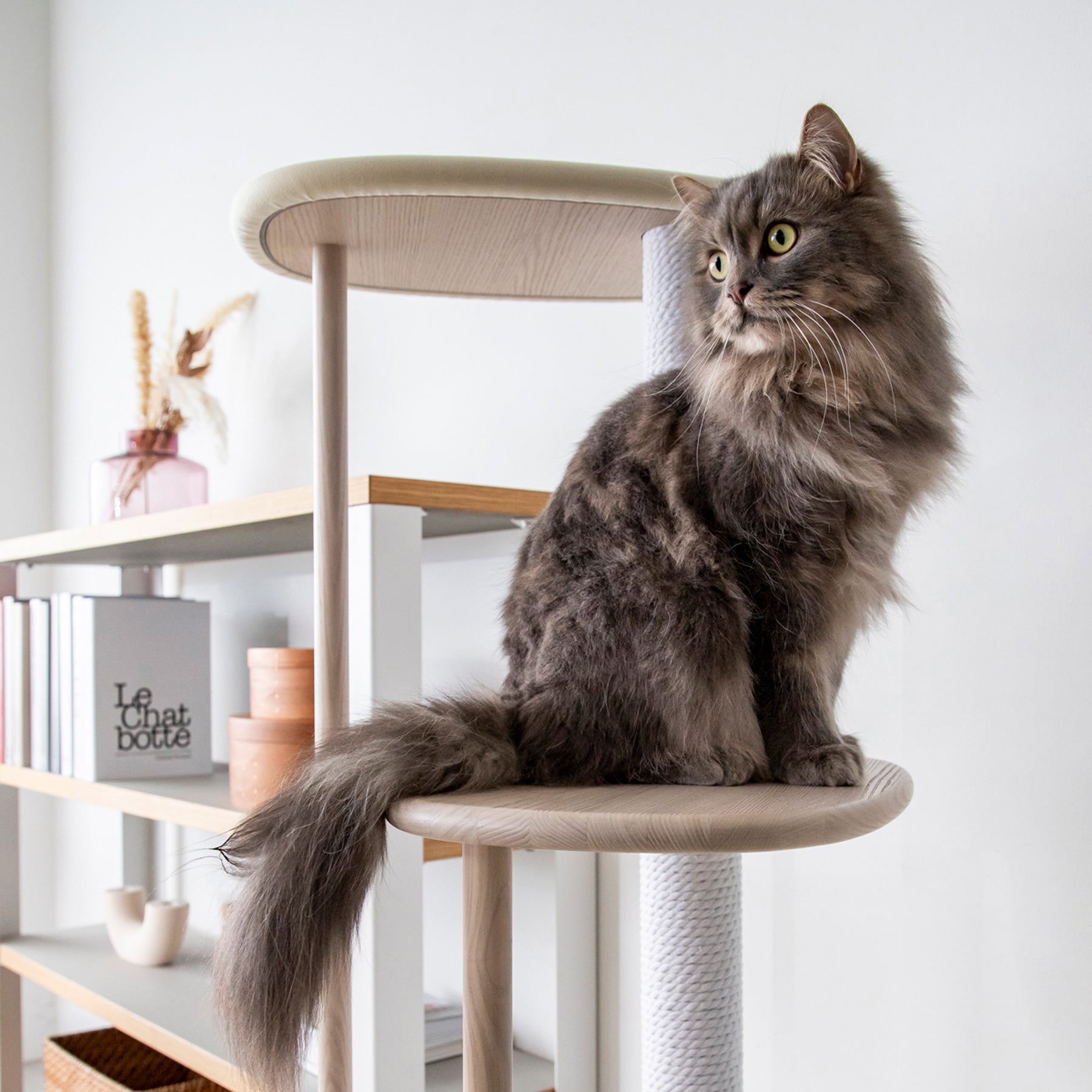KARIMOKU CAT のミニマルモダンなホワイト×シアーホワイトカラーのキャットツリー（イメージ3）