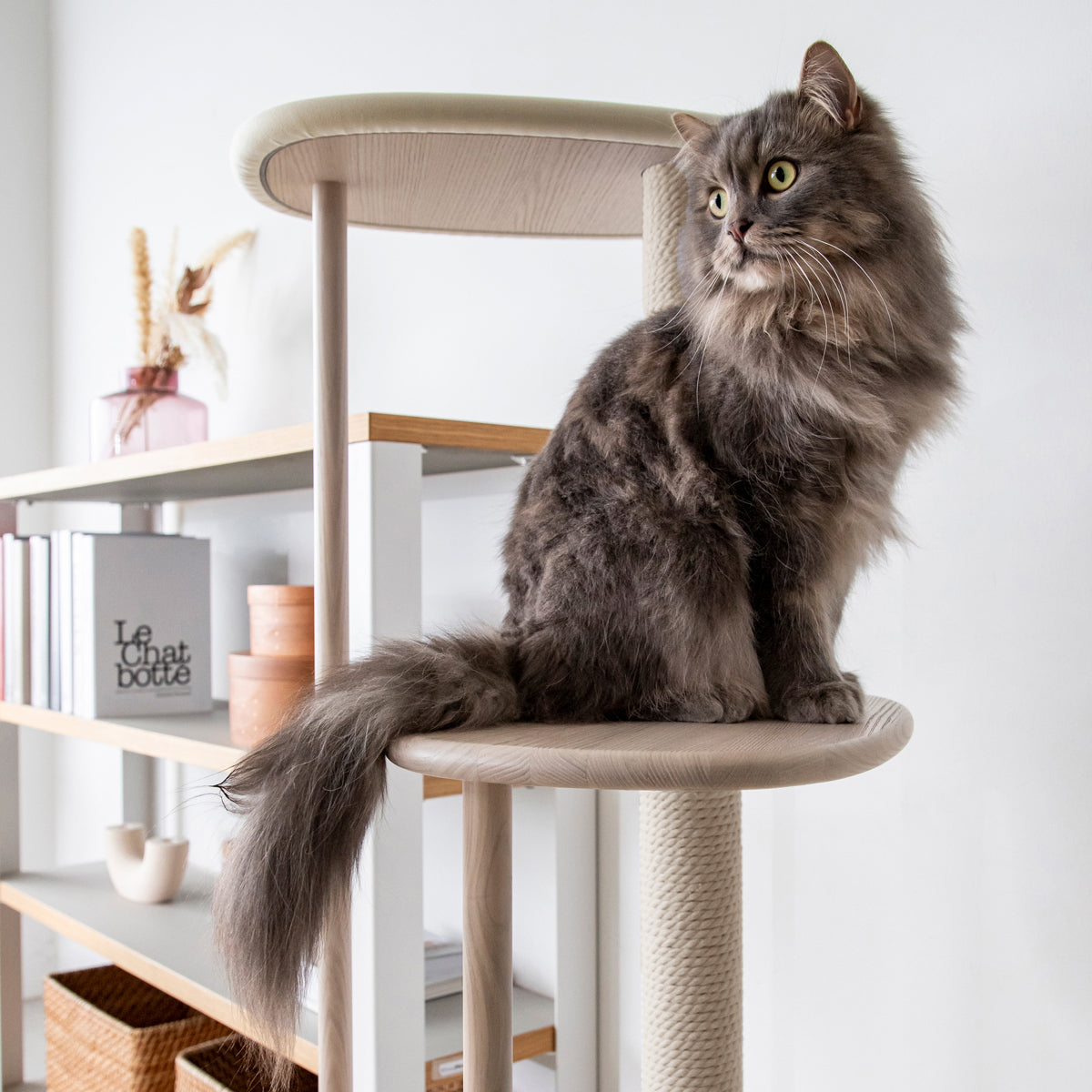 KARIMOKU CAT TREE