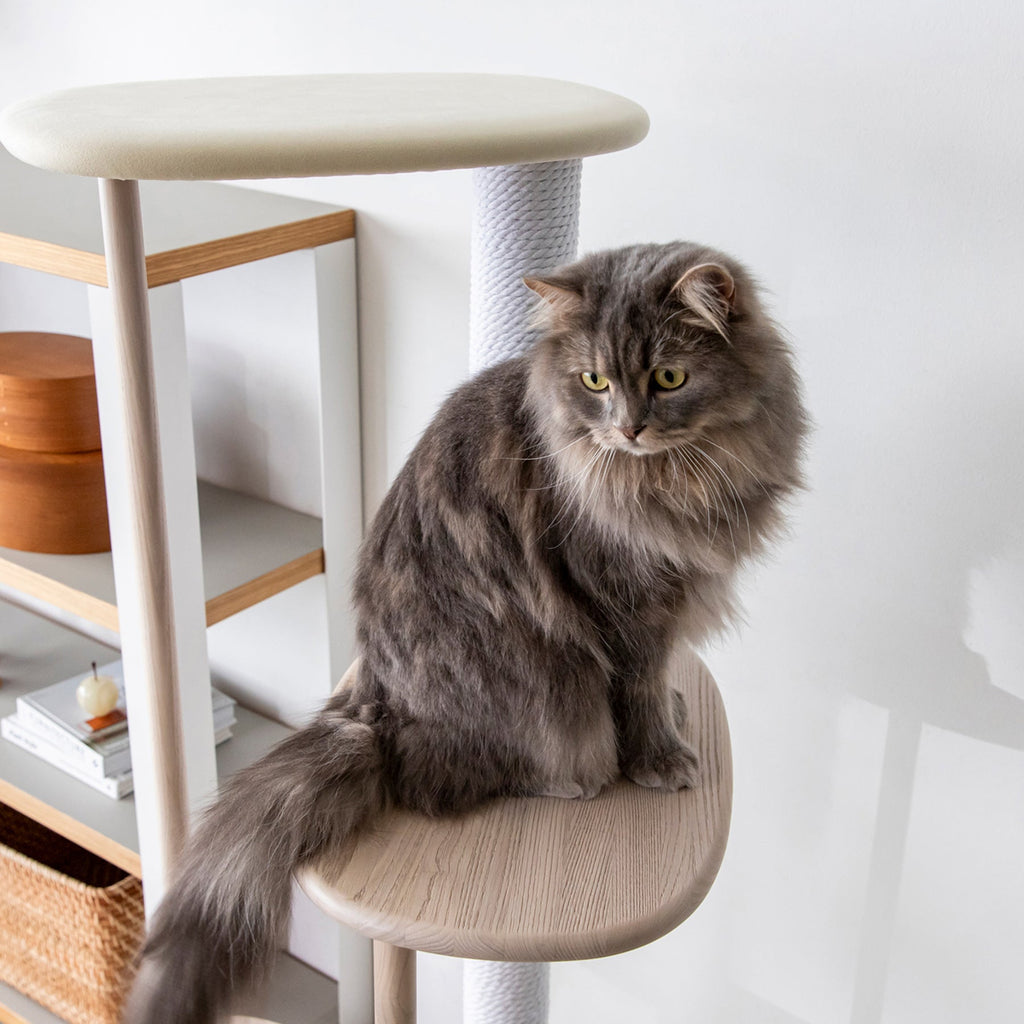 KARIMOKU CAT のミニマルモダンなホワイト×シアーホワイトカラーのキャットツリー（イメージ4）