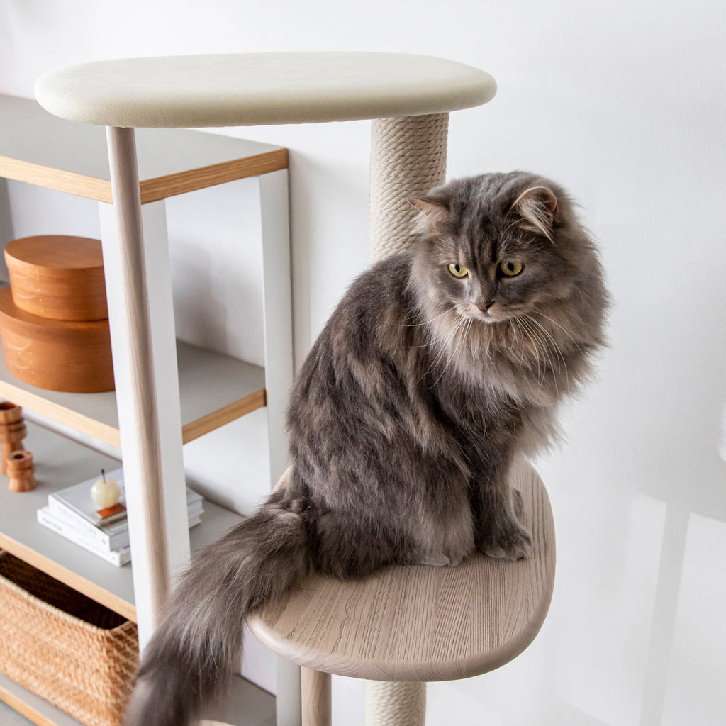KARIMOKU CAT TREE