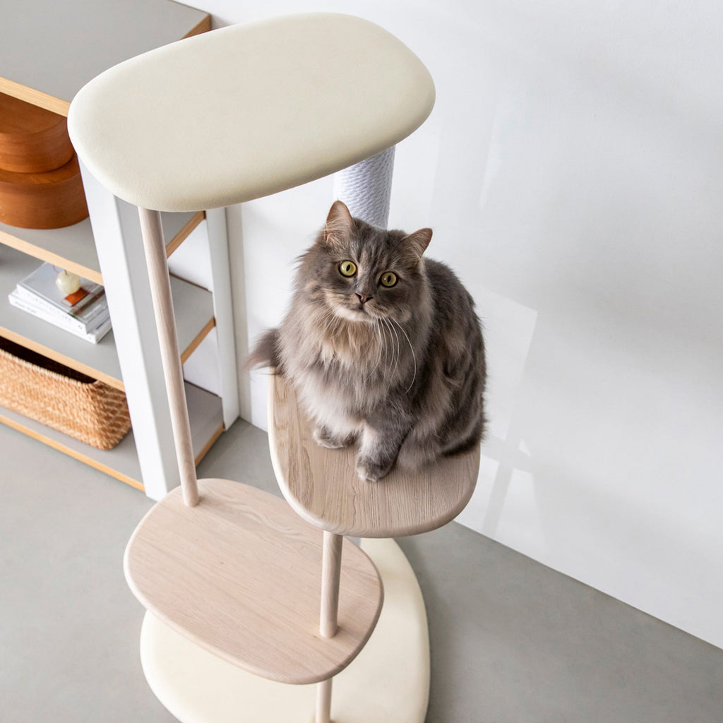KARIMOKU CAT のミニマルモダンなホワイト×シアーホワイトカラーのキャットツリー（イメージ2）