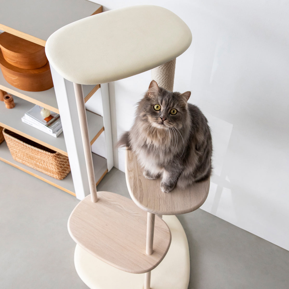 KARIMOKU CAT TREE