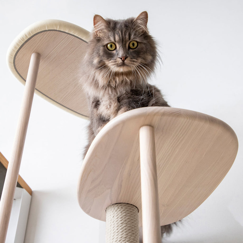 KARIMOKU CAT TREE