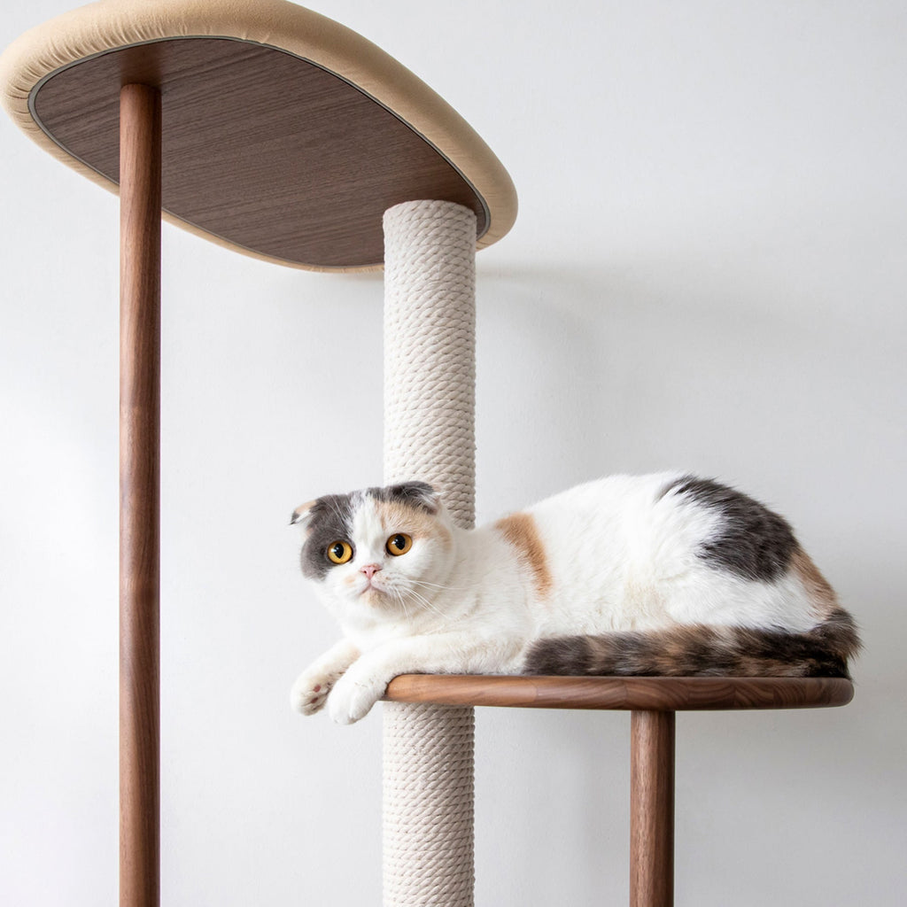 KARIMOKU CAT のミニマルモダンなベージュ×ウォールナットナチュラルカラーのキャットツリー（イメージ1）