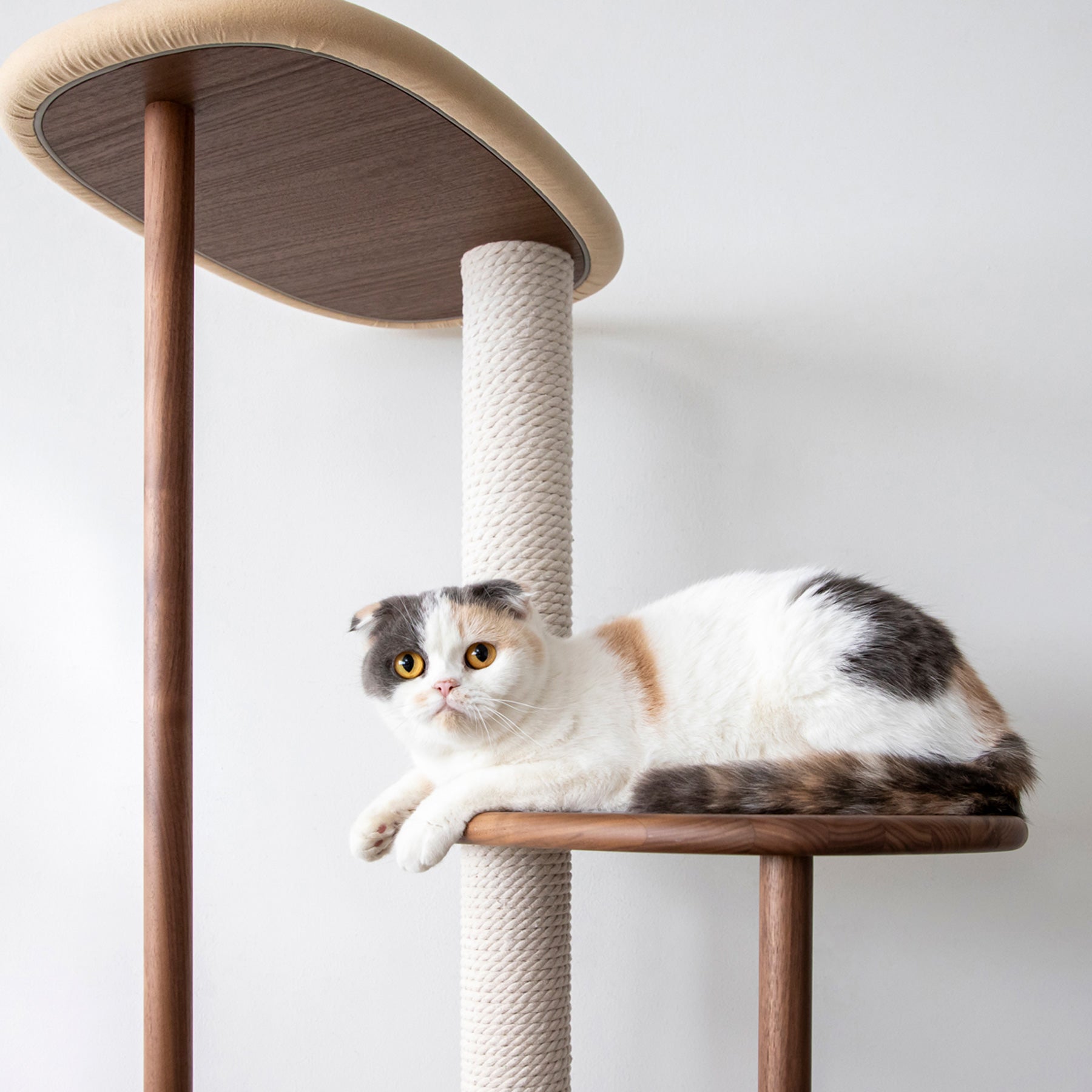 KARIMOKU CAT のミニマルモダンなベージュ×ウォールナットナチュラルカラーのキャットツリー（イメージ1）