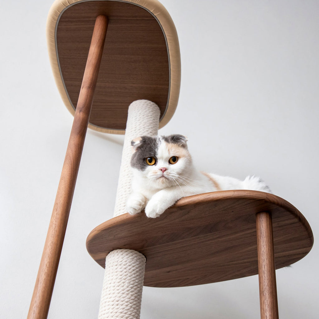 KARIMOKU CAT のミニマルモダンなベージュ×ウォールナットナチュラルカラーのキャットツリー（イメージ2）